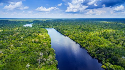 Amazonia