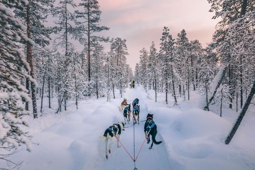 Inari