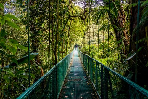 Monteverde 