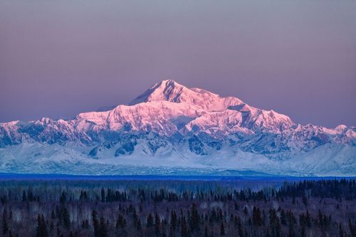 Park Narodowy Denali 